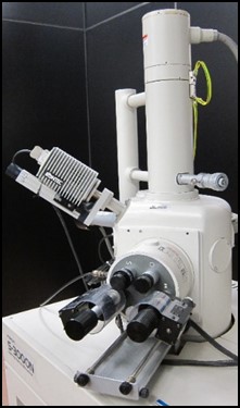 Microscopio SEM